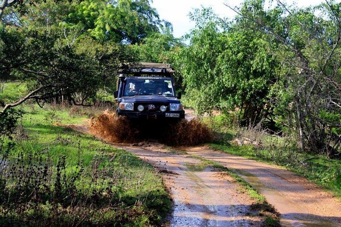VALUE PACK! One Day Safari Tour to Yala and Udawalawa Parks - Guide quality and communication