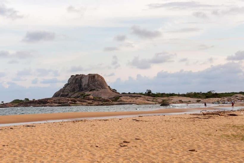 Value Tour: One Day Safari Trip to Yala & Udawalawe w/ Lunch - Udawalawe National Park from about 3 PM