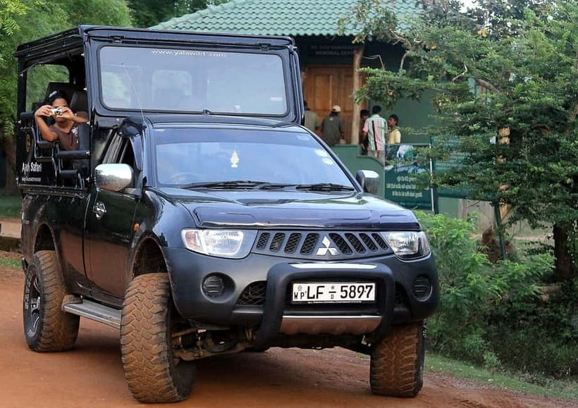 Value Tour: One Day Safari Trip to Yala & Udawalawe w/ Lunch - The early run to Yala National Park