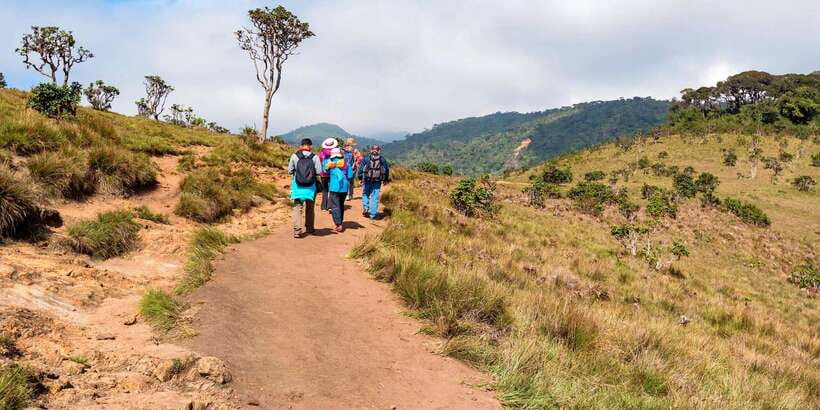 Visit Horton plains and Nuwara Eliya from Ella - The Early Drive From Ella