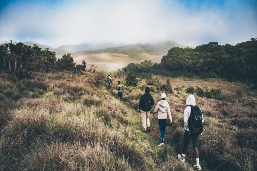 Visit Horton plains and Nuwara Eliya from Ella - Drivers, Guides, and the Shared-Tour Style