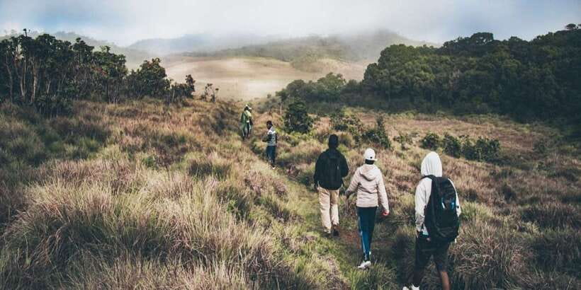Visit Horton plains and Nuwara Eliya from Ella - Should You Book the Ella to Horton Plains Tour?