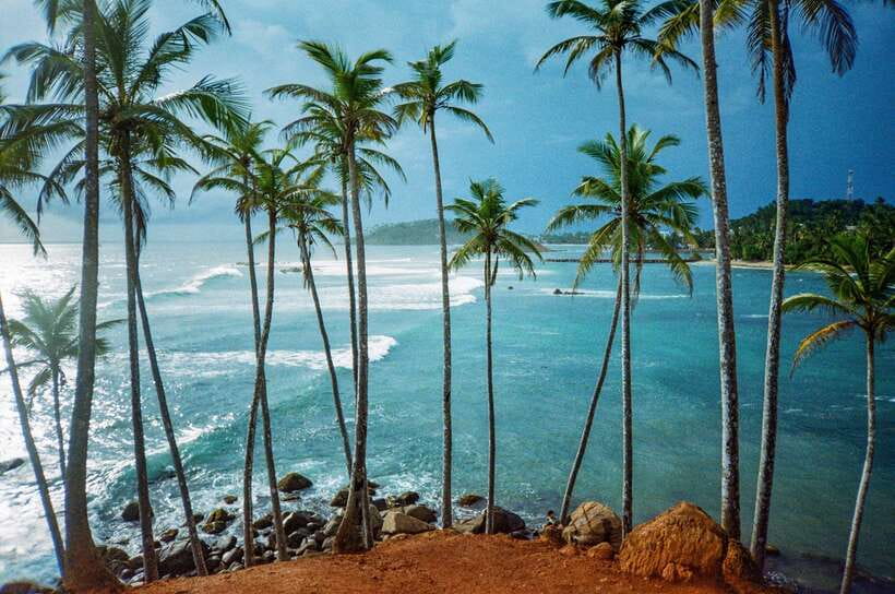 Visit sri Lanka 7 Days Round Trip - Day 7: Galle Fort and a Madu River boat safari