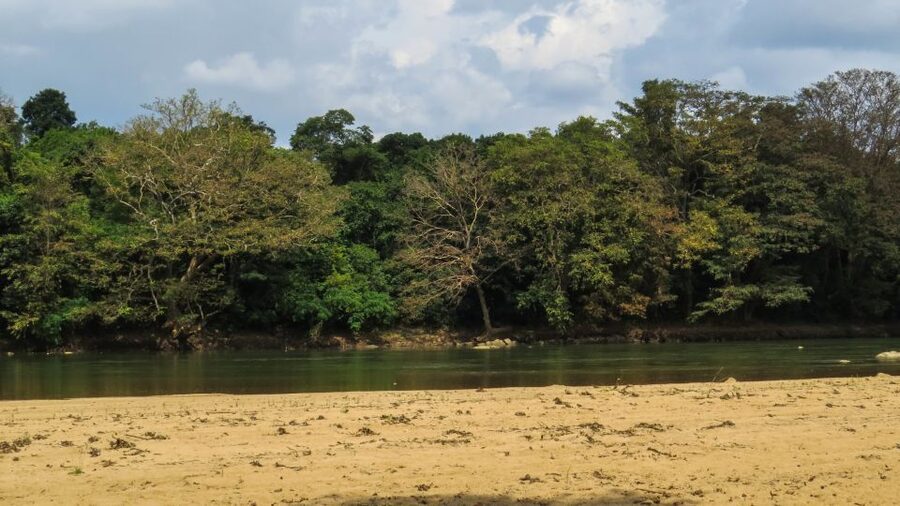 Wasgamuwa: Wasgamuwa National Park Private 3-Hour Safari - Why the small pools matter