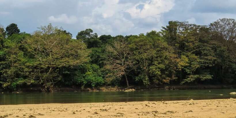 Wasgamuwa: Wasgamuwa National Park Private 3-Hour Safari - What the private format is worth at $27