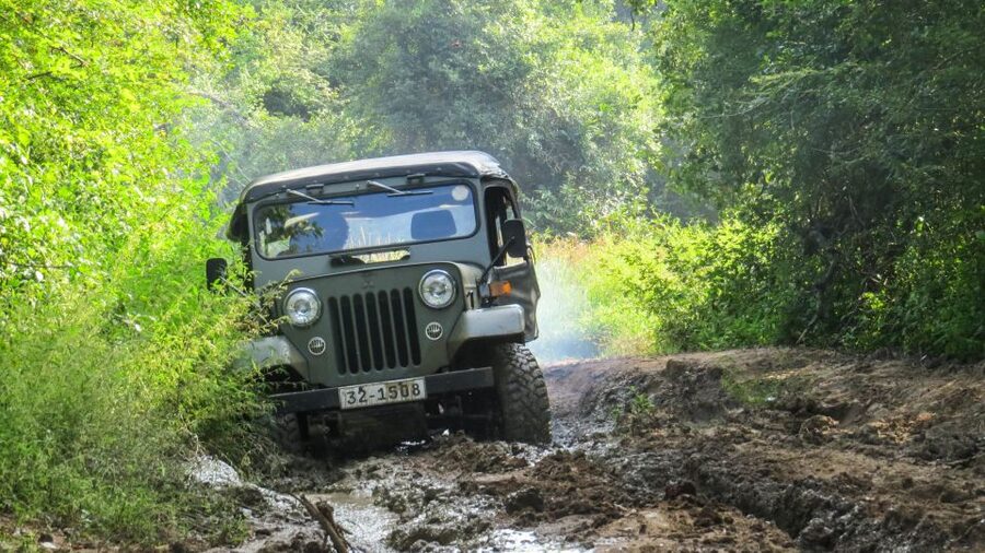 Wasgamuwa: Wasgamuwa National Park Private 3-Hour Safari - Who will enjoy this Wasgamuwa safari most