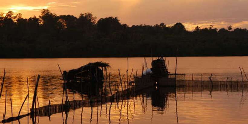 West coast Beach, River Mangroves lagoon, Wildlife boat Tour - Transport, comfort, and timing