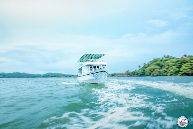 Whale Watching Mirissa Ultimate Tour in Sri Lanka with Breakfast - What you may see beyond Mirissa