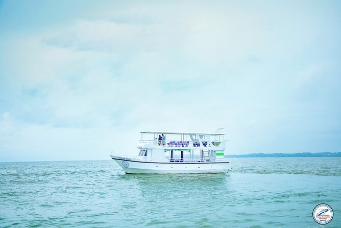 Whale Watching Mirissa Ultimate Tour in Sri Lanka with Breakfast - Comfort and safety on a moving boat