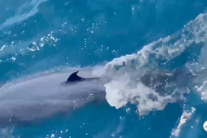 Whale Watching Mirissa Ultimate Tour in Sri Lanka with Breakfast - How the three-hour itinerary feels