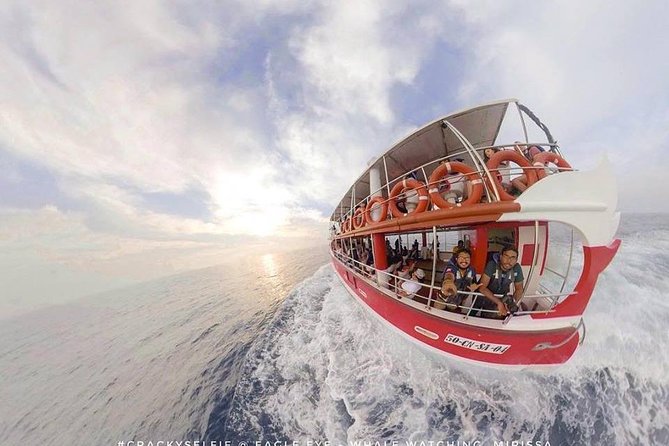 Whale Watching Mirissa with Eagle Eye - Managing the pickup, group size, and timing