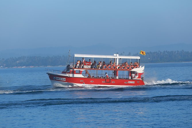 Whale Watching Mirissa with Eagle Eye - Who will enjoy this trip most