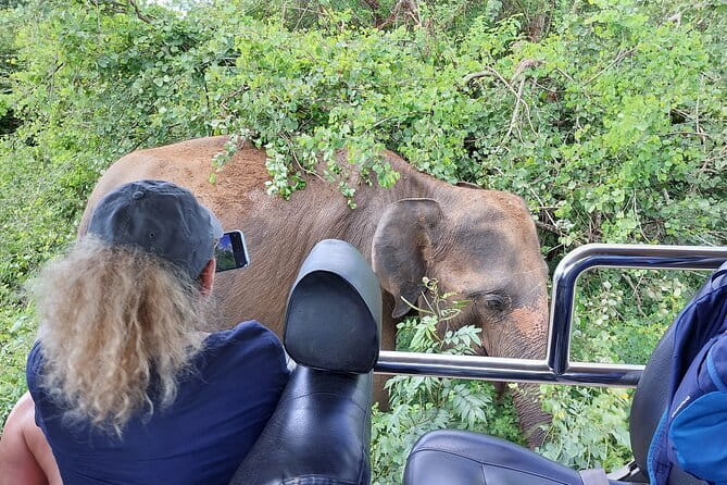 Wildlife Safari Yala National park - Key points at a glance