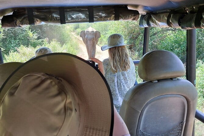 Wildlife Safari Yala National park - Seeing Sri Lanka beyond the park roads