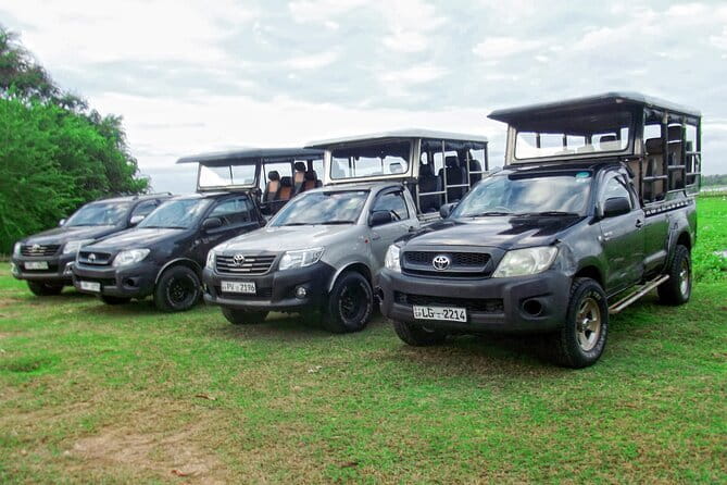 Wildlife Safari Yala National park - Is the $160 price good value?