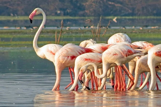 Wildlife Safari Yala National park - Weather and cancellation rules