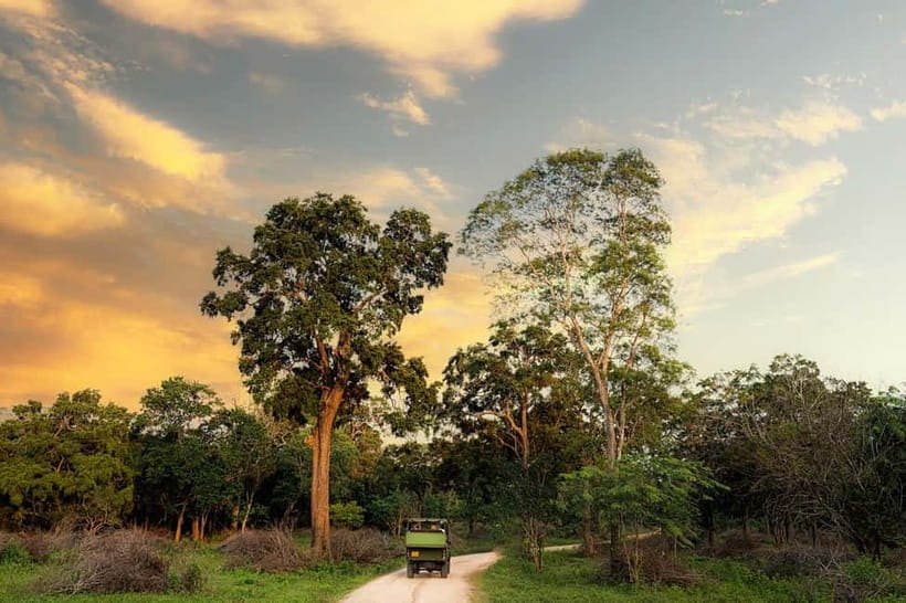 Wilpattu National park - Full day Safari (06:00am - 18:00pm) - Why Wilpattu rewards a full 12 hours