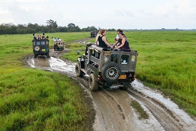 Wilpattu National Park Jeep Safari from Negombo / Waikkal (All Inclusive) - The feel of a full day on rough tracks