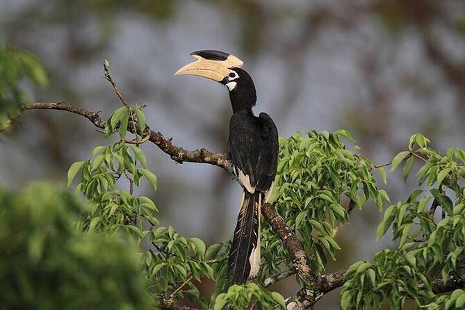 Wilpattu National Park Jeep Safari from Negombo / Waikkal (All Inclusive) - How much value do you get for $152?