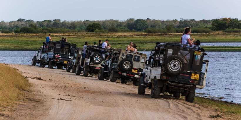 Wilpattu National Park Safari Tour from Colombo - Who should take this tour?