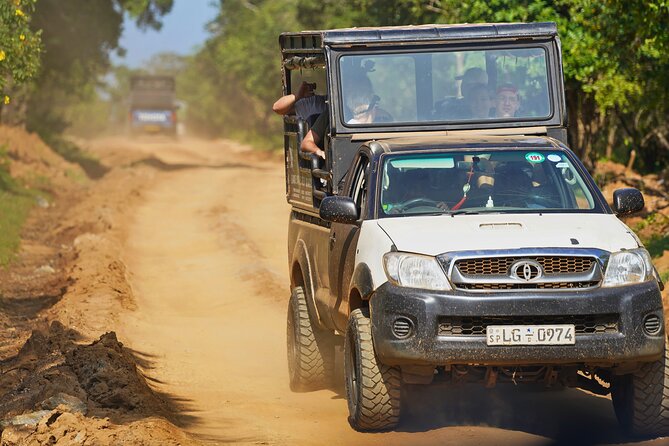 Yala 4h Jeep Safari: Guided Wildlife Experience (All Inclusive) - Changing from road car to safari Jeep