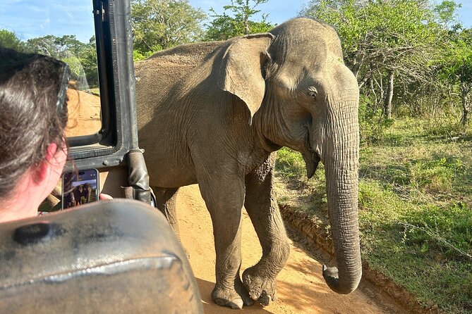 Yala 4h Jeep Safari: Guided Wildlife Experience (All Inclusive) - The guides can shape the whole day