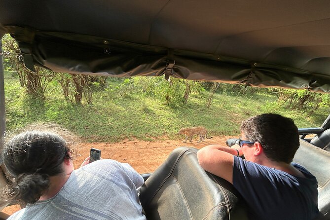 Yala 4h Jeep Safari: Guided Wildlife Experience (All Inclusive) - Practical details that affect your decision