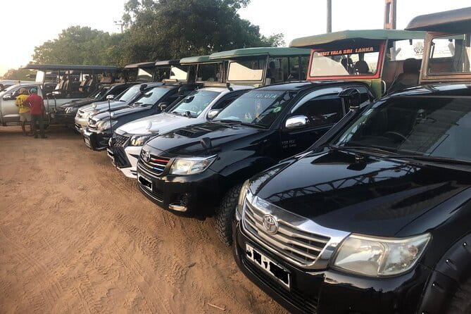 Yala and Udawalawa Safari Tour From Hambantota port - The Yala closure from noon to 2 pm