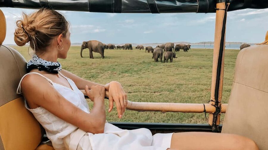YALA BLOCK 5 & 6 (Weheragala & Lunugamwehera) Safari Tour - Key points to know before booking