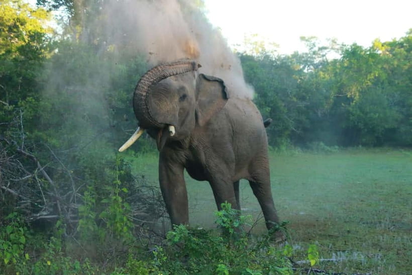 YALA BLOCK 5 & 6 (Weheragala & Lunugamwehera) Safari Tours - Pickup towns and meeting arrangements