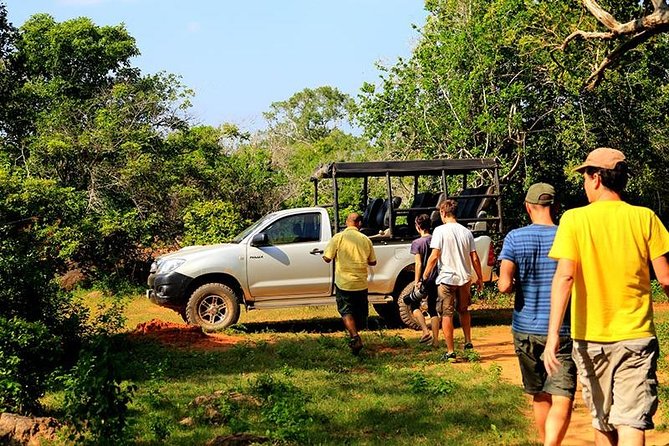 Yala Full day Leopard Safari Tour with Picnic Lunch - Picnic food, drinks, and the midday pause