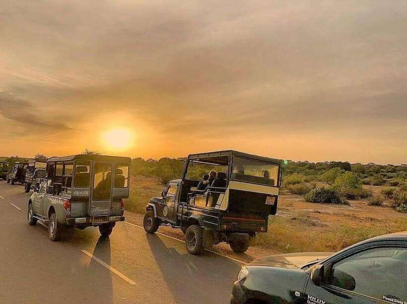 Yala National Park: 7 hour & 12 hour Leopard Safari Tours - The value of a small safari jeep