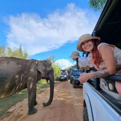 All Inclusive Private Safari Day Trip