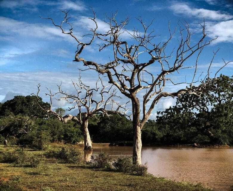 Yala National Park: All Inclusive Private Safari Day Trip - Private does not mean peaceful inside the park