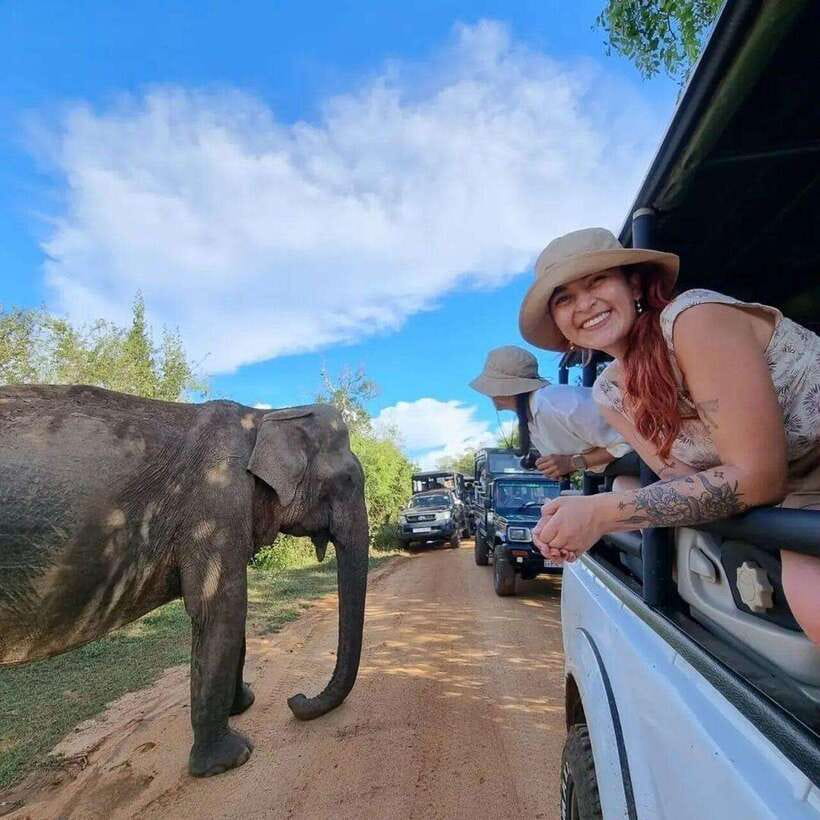 Yala National Park: All Inclusive Private Safari Day Trip - The early road to the park