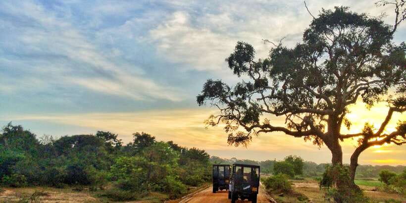 Yala National Park: Half, 7-Hour, or Full-Day Safari & Meals - Why Yala is worth your time