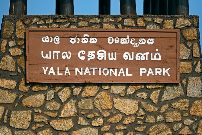 Yala National Park Half Day / Full Day Special Safari Tours - Riding in a six-person safari jeep