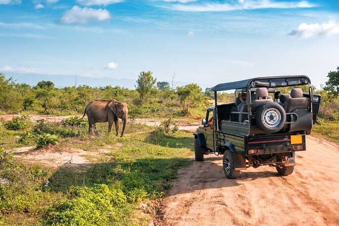 Yala National Park Half Day / Full Day Special Safari Tours - Jungle, plains, lagoons, and coastal views