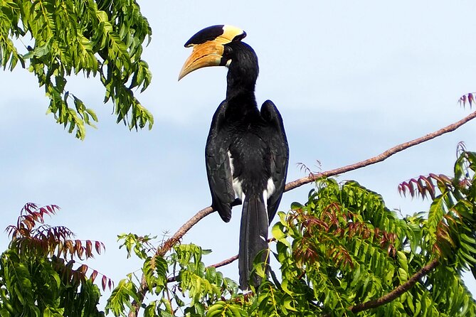 Yala National Park Half Day / Full Day Special Safari Tours - What the price really buys you
