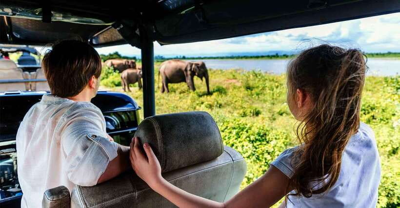 Yala National Park: Leopard Safari Tour with Park Tickets - Why the dawn and dusk hours matter in Yala