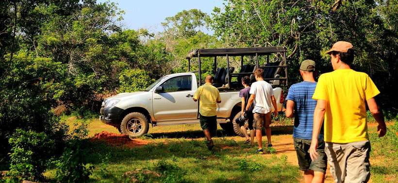 Yala National Park: Leopard Safari Tour with Park Tickets - Elephants, bears, crocodiles, and smaller creatures