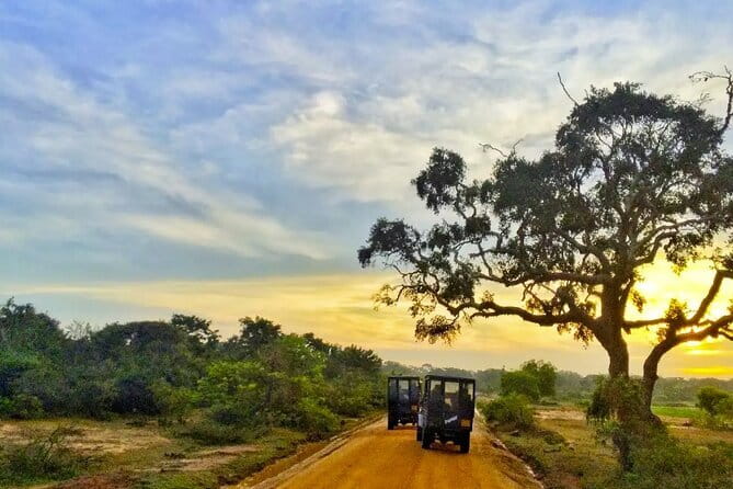 Yala National Park Private Jeep Safari From Colombo & Negombo - The long road from Colombo to Yala
