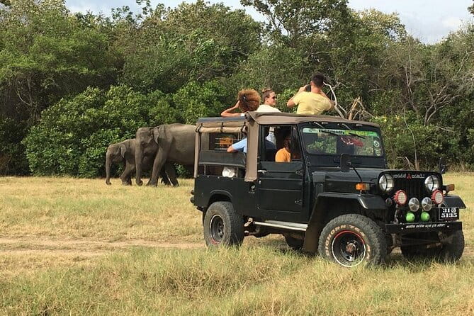 Yala National Park Private Jeep Safari From Colombo & Negombo - The main drawbacks to weigh before booking