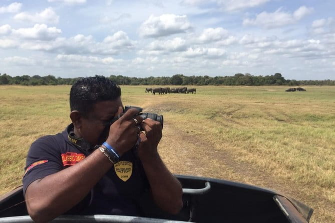 Yala National Park Private Jeep Safari From Colombo & Negombo - Booking timing, cancellation, and small practical details