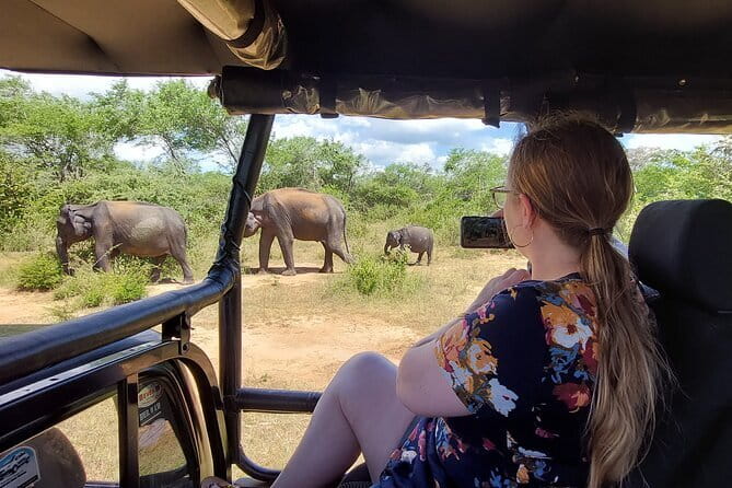 Yala National Park Private Jeep Safari From Colombo & Negombo - Should you book the Colombo to Yala safari?