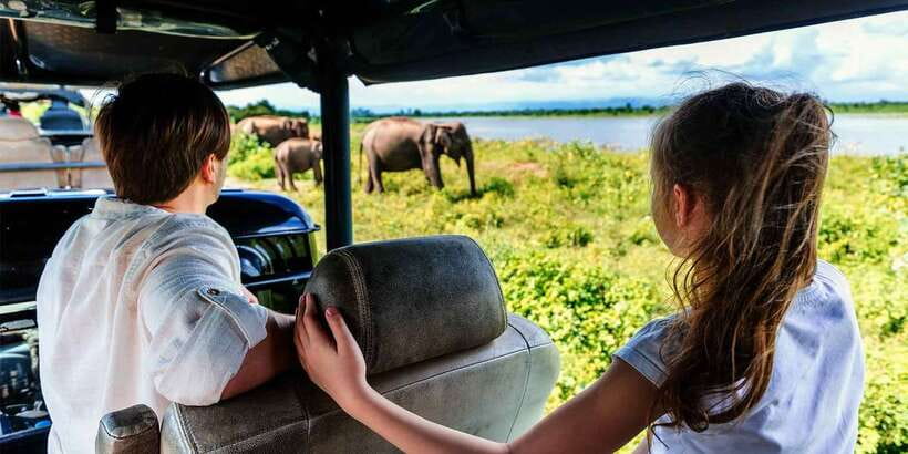 Yala National Park: Safari Experience at Dawn or Dusk - Starting the safari near Yala