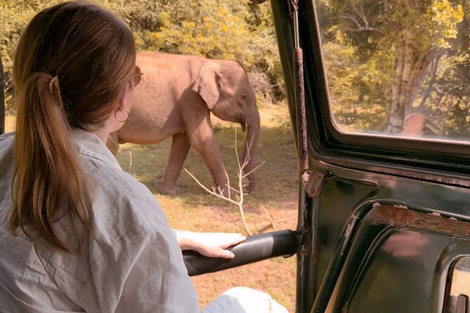 Yala National Park Safari FULLDAY and HALFDAY Expert Guided Tour - Key points to know before booking