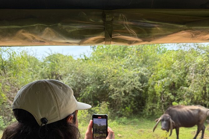 Yala National Park Safari FULLDAY and HALFDAY Expert Guided Tour - The final leopard search