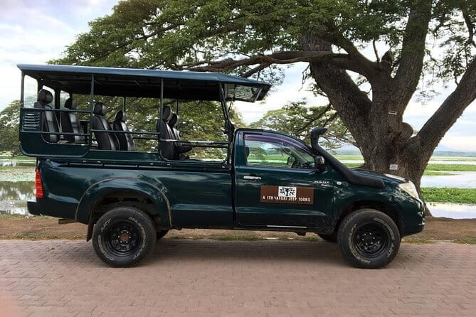 Yala National Park Safari - Half day and Full day - What I Like Most About the Guide Service