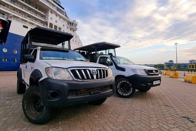 Yala National Park Safari Tours from Hambantota Port - Searching for leopards, elephants, and birds